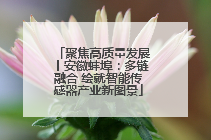 聚焦高质量发展丨安徽蚌埠：多链融合 绘就智能传感器产业新图景