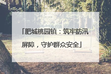 肥城桃园镇：筑牢防汛屏障，守护群众安全