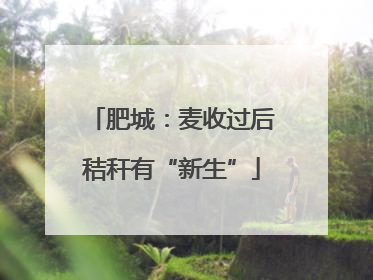肥城：麦收过后秸秆有“新生”