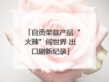 自贡荣县产品“火辣”闯世界 出口刷新纪录