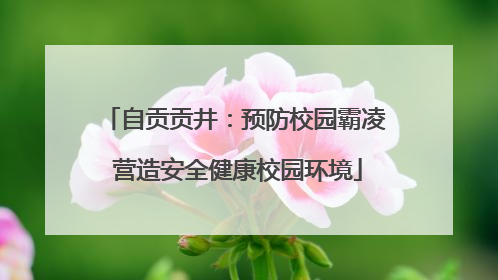 自贡贡井：预防校园霸凌 营造安全健康校园环境