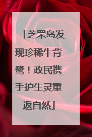芝罘岛发现珍稀牛背鹭！政民携手护生灵重返自然