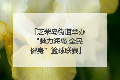 芝罘岛街道举办“魅力海岛 全民健身”篮球联赛