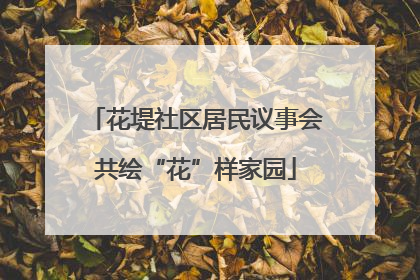 花堤社区居民议事会共绘“花”样家园