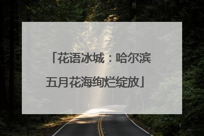 花语冰城：哈尔滨五月花海绚烂绽放