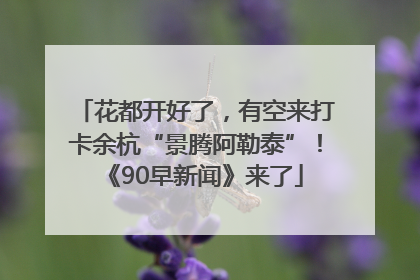 花都开好了，有空来打卡余杭“景腾阿勒泰”！《90早新闻》来了