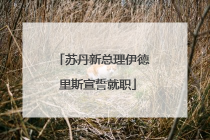 苏丹新总理伊德里斯宣誓就职