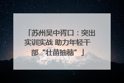 苏州吴中胥口：突出实训实战 助力年轻干部“壮苗抽穗”