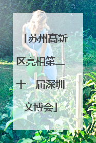 苏州高新区亮相第二十一届深圳文博会