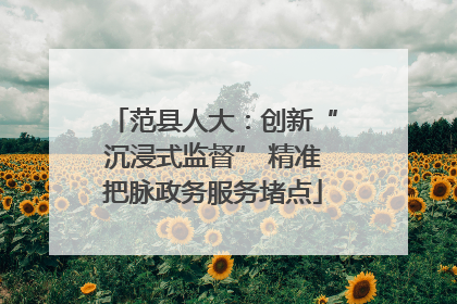 范县人大：创新“沉浸式监督” 精准把脉政务服务堵点