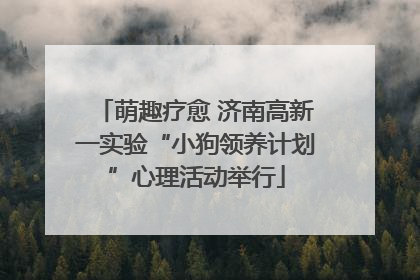 萌趣疗愈 济南高新一实验“小狗领养计划”心理活动举行
