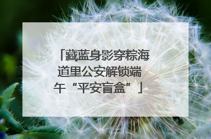 藏蓝身影穿粽海 道里公安解锁端午“平安盲盒”