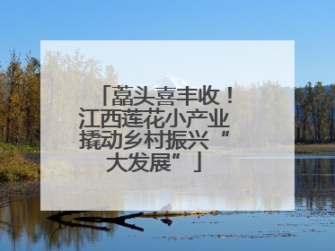 藠头喜丰收！江西莲花小产业撬动乡村振兴“大发展”
