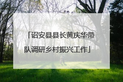 诏安县县长黄庆华带队调研乡村振兴工作