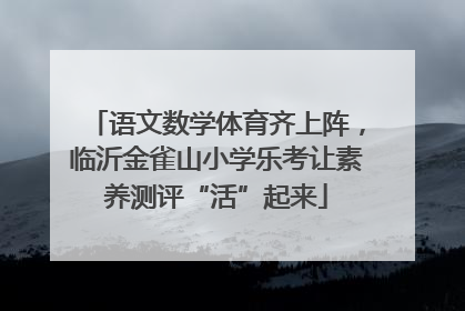 语文数学体育齐上阵，临沂金雀山小学乐考让素养测评“活”起来