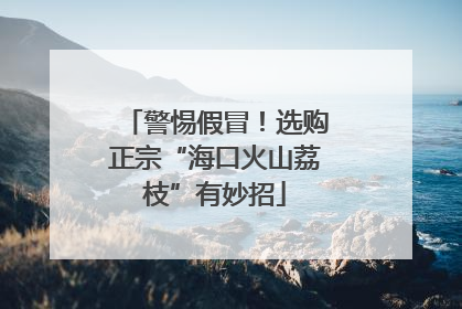 警惕假冒！选购正宗“海口火山荔枝”有妙招