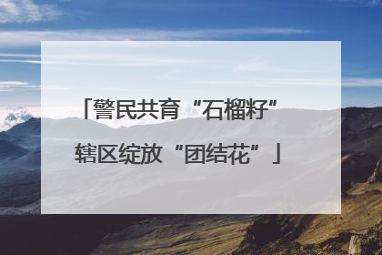 警民共育“石榴籽” 辖区绽放“团结花”