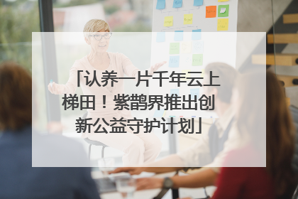 认养一片千年云上梯田！紫鹊界推出创新公益守护计划