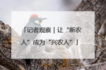 记者观察｜让“新农人”成为“兴农人”