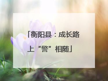 衡阳县：成长路上“警”相随