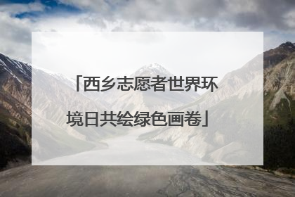 西乡志愿者世界环境日共绘绿色画卷