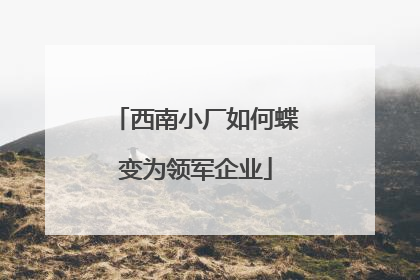 西南小厂如何蝶变为领军企业
