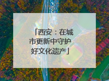 西安：在城市更新中守护好文化遗产