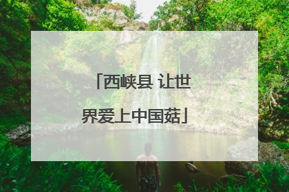 西峡县 让世界爱上中国菇