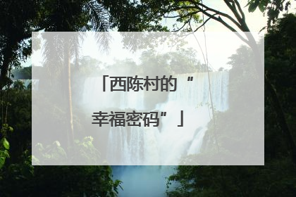 西陈村的“幸福密码”
