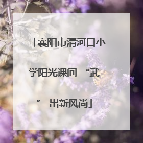 襄阳市清河口小学阳光课间 “武” 出新风尚