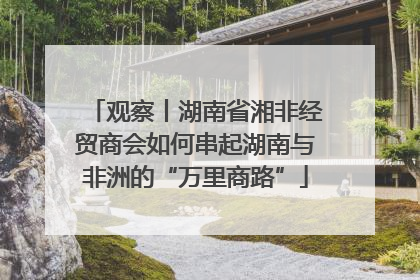 观察丨湖南省湘非经贸商会如何串起湖南与非洲的“万里商路”