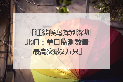 迁徙候鸟挥别深圳北归：单日监测数量最高突破2万只