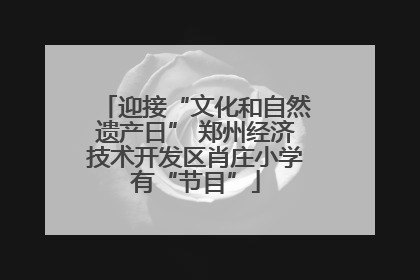 迎接“文化和自然遗产日” 郑州经济技术开发区肖庄小学有“节目”