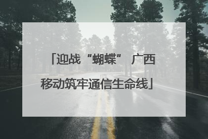 迎战“蝴蝶” 广西移动筑牢通信生命线