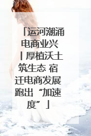 运河潮涌 电商业兴丨厚植沃土筑生态 宿迁电商发展跑出“加速度”