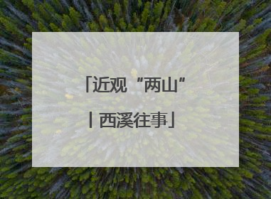 近观“两山”丨西溪往事