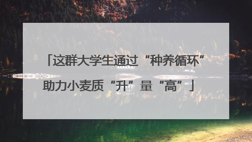 这群大学生通过“种养循环”助力小麦质“升”量“高”