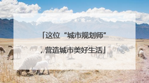 这位“城市规划师”，营造城市美好生活