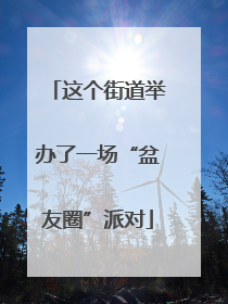 这个街道举办了一场“盆友圈”派对