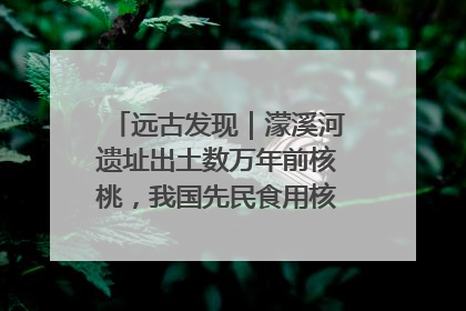 远古发现｜濛溪河遗址出土数万年前核桃，我国先民食用核桃历史大幅提前