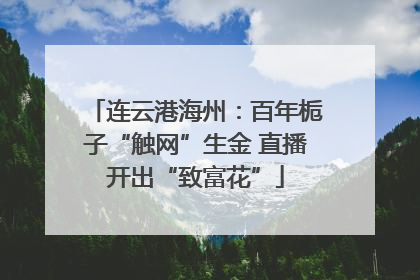 连云港海州：百年栀子“触网”生金 直播开出“致富花”