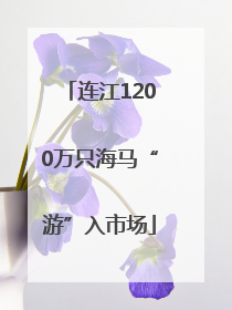 连江1200万只海马“游”入市场