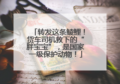转发这条鲮鲤！货车司机救下的“胖宝宝”，是国家一级保护动物！