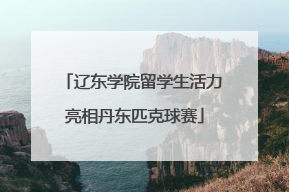 辽东学院留学生活力亮相丹东匹克球赛