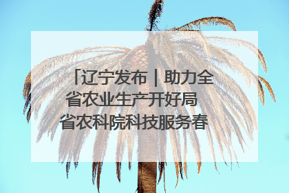 辽宁发布｜助力全省农业生产开好局 省农科院科技服务春耕备耕成效显著