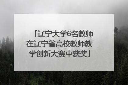 辽宁大学6名教师在辽宁省高校教师教学创新大赛中获奖