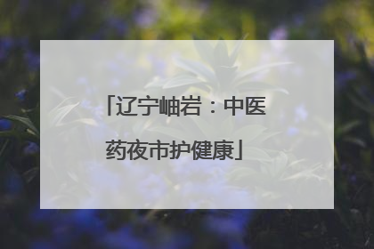 辽宁岫岩：中医药夜市护健康