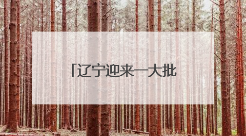 辽宁迎来一大批演唱会、演出！巨星、大咖云集