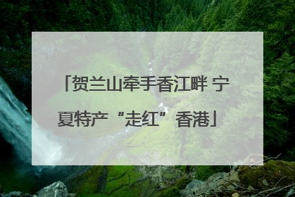 贺兰山牵手香江畔 宁夏特产“走红”香港