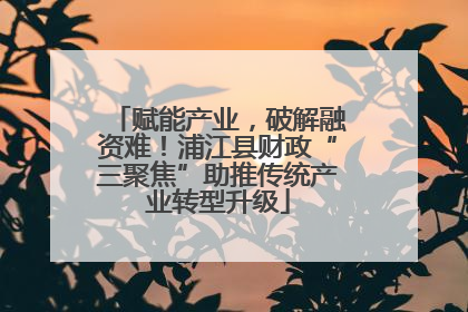 赋能产业，破解融资难！浦江县财政“三聚焦”助推传统产业转型升级